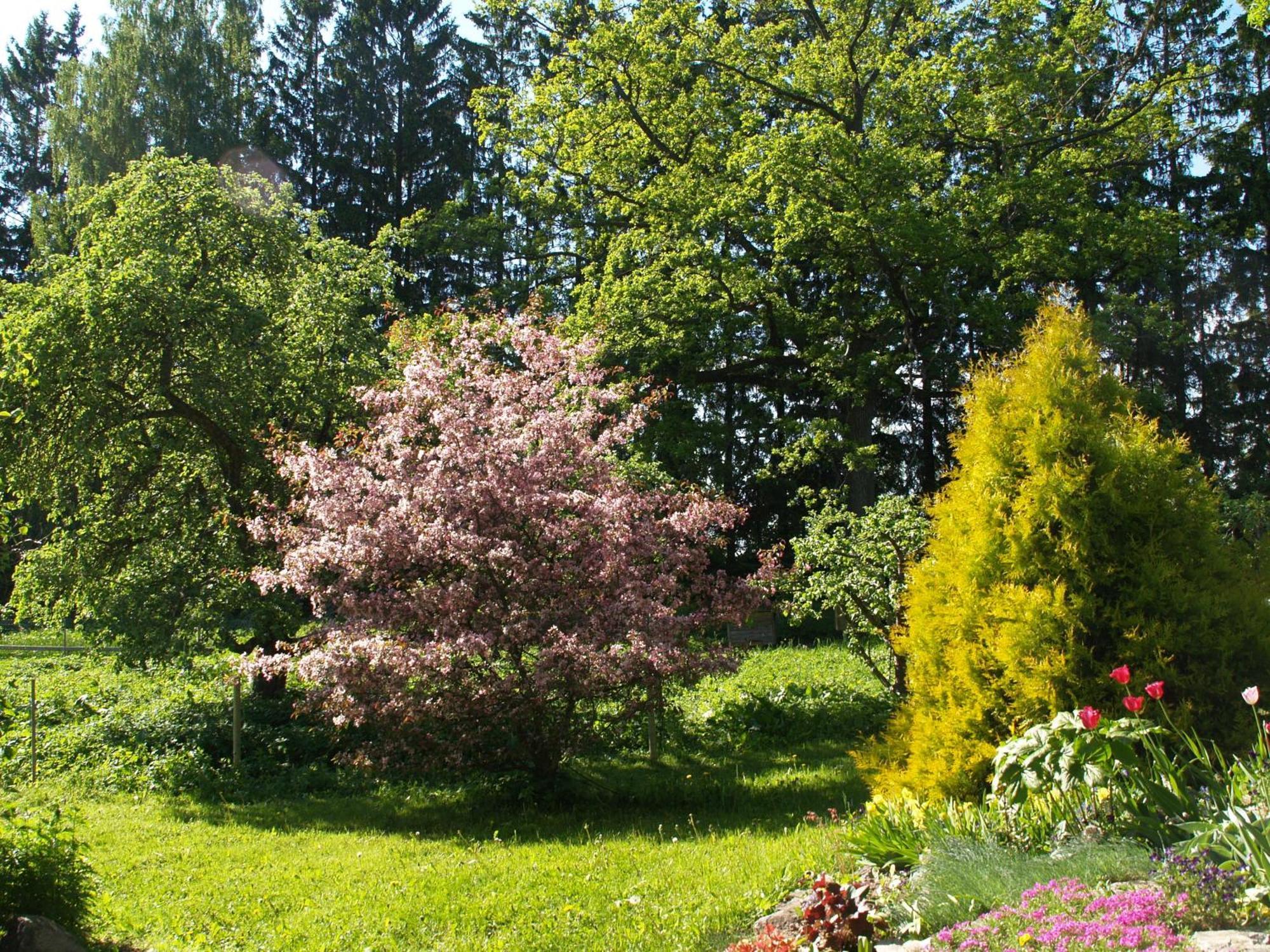 Mokko Country Hotel Palamuse Esterno foto