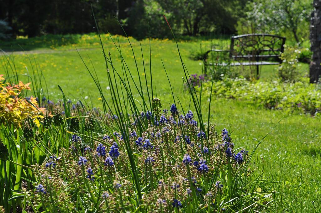 Mokko Country Hotel Palamuse Esterno foto